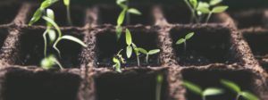 Najważniejsze trendy w crowdfundingu w 2020