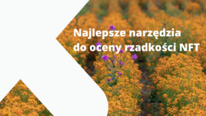 Jak w świecie NFT ocenić ich unikatowość?